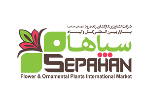 logo-300
